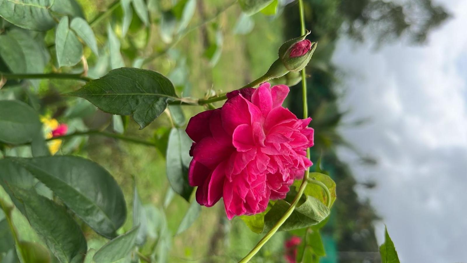 Chaitanya Farms Karjat Buitenkant foto